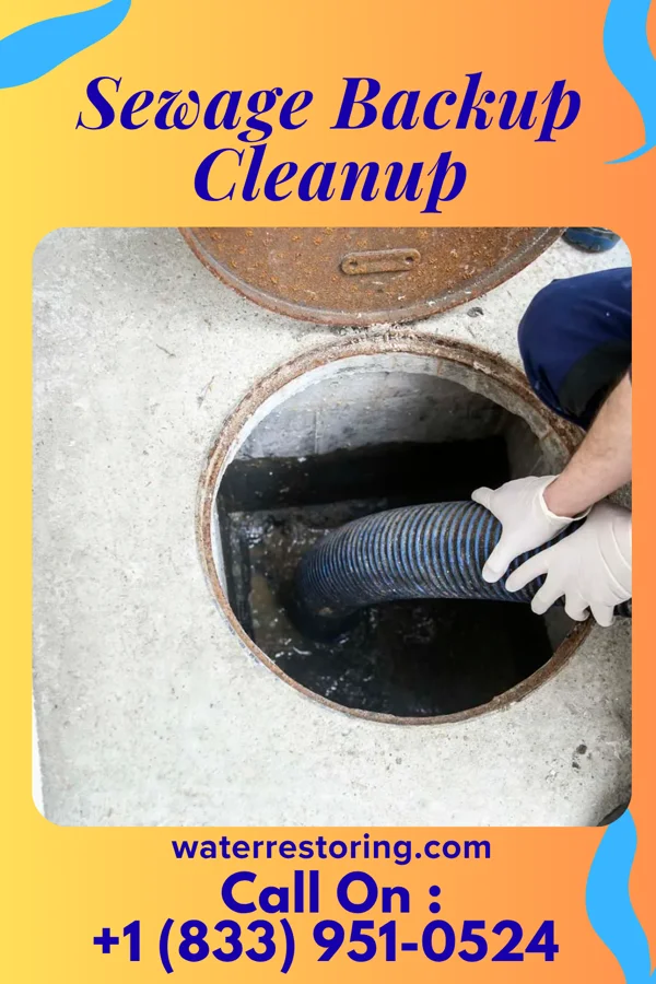 Sewage Backup Cleanup in El Dorado, AR